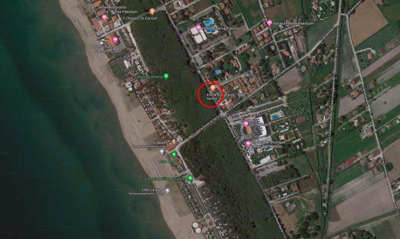 Il Pineto Paestum Food & Rooms Zewnętrze zdjęcie